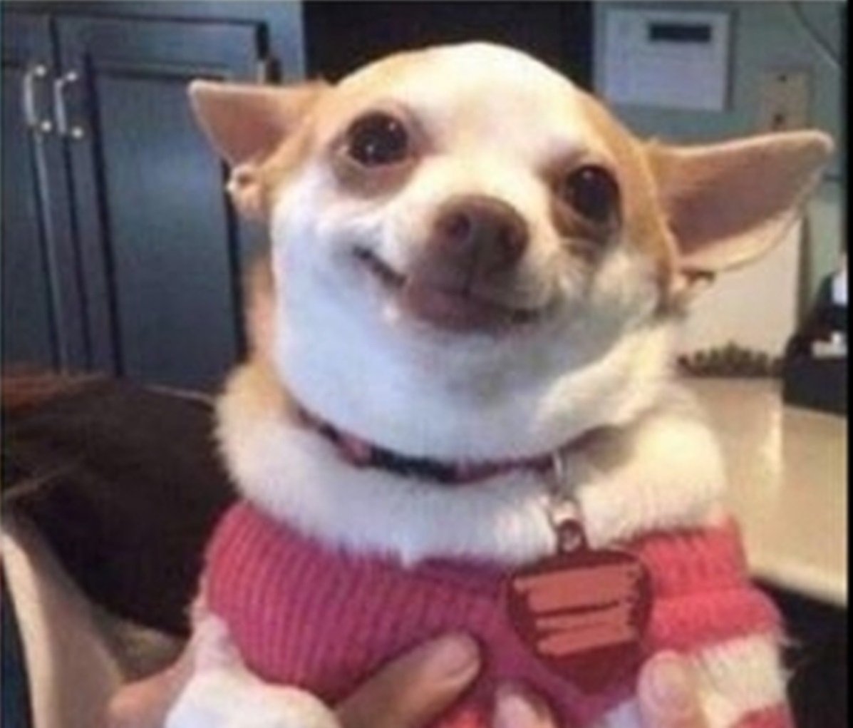 Happy Dog Meme