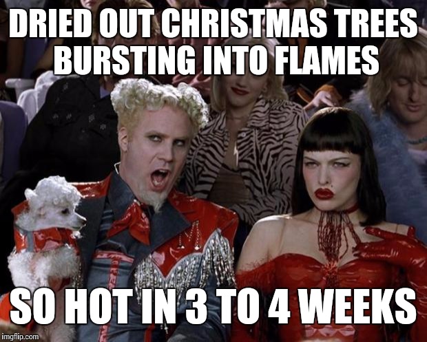 Mugatu So Hot Right Now Meme | DRIED OUT CHRISTMAS TREES BURSTING INTO FLAMES; SO HOT IN 3 TO 4 WEEKS | image tagged in memes,mugatu so hot right now | made w/ Imgflip meme maker