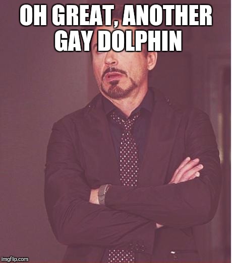 Face You Make Robert Downey Jr Meme | OH GREAT, ANOTHER GAY DOLPHIN | image tagged in memes,face you make robert downey jr | made w/ Imgflip meme maker