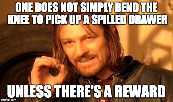 One Does Not Simply Meme | ONE DOES NOT SIMPLY BEND THE KNEE TO PICK UP A SPILLED DRAWER; UNLESS THERE'S A REWARD | image tagged in memes,one does not simply | made w/ Imgflip meme maker