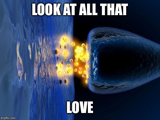 LOOK AT ALL THAT; LOVE | image tagged in neurotransmitter | made w/ Imgflip meme maker