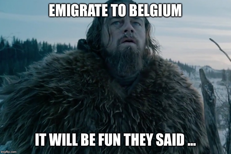 Cold Weather Leo | EMIGRATE TO BELGIUM; IT WILL BE FUN THEY SAID ... | image tagged in cold weather leo | made w/ Imgflip meme maker