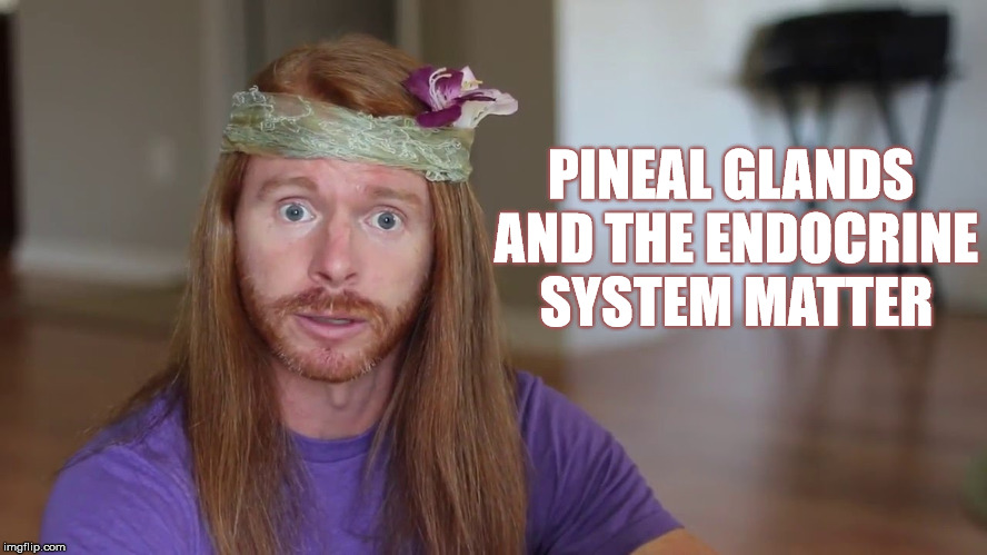 PINEAL GLANDS AND THE ENDOCRINE SYSTEM MATTER | made w/ Imgflip meme maker