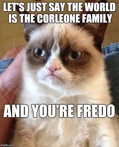 Grumpy Cat | LET'S JUST SAY THE WORLD IS THE CORLEONE FAMILY; AND YOU'RE FREDO | image tagged in memes,grumpy cat | made w/ Imgflip meme maker