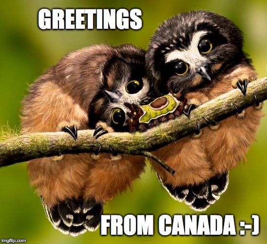 GREETINGS FROM CANADA :-) | made w/ Imgflip meme maker