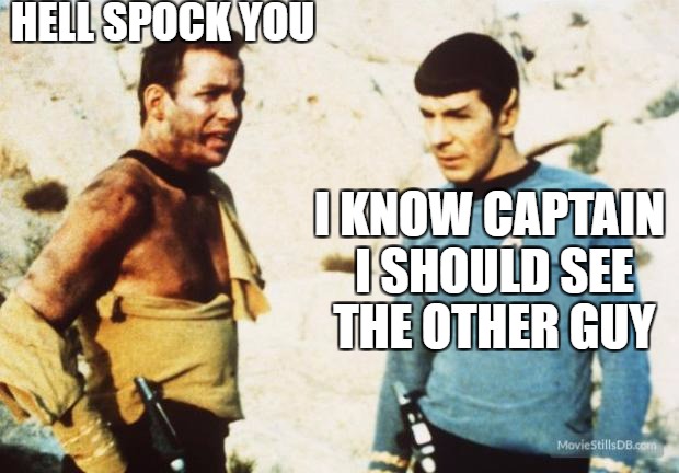 Yea right captain, whatever | HELL SPOCK YOU; I KNOW CAPTAIN I SHOULD SEE THE OTHER GUY | image tagged in beat up captain kirk,star trek week | made w/ Imgflip meme maker