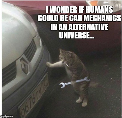 I WONDER IF HUMANS COULD BE CAR MECHANICS IN AN ALTERNATIVE UNIVERSE... | image tagged in business cat | made w/ Imgflip meme maker