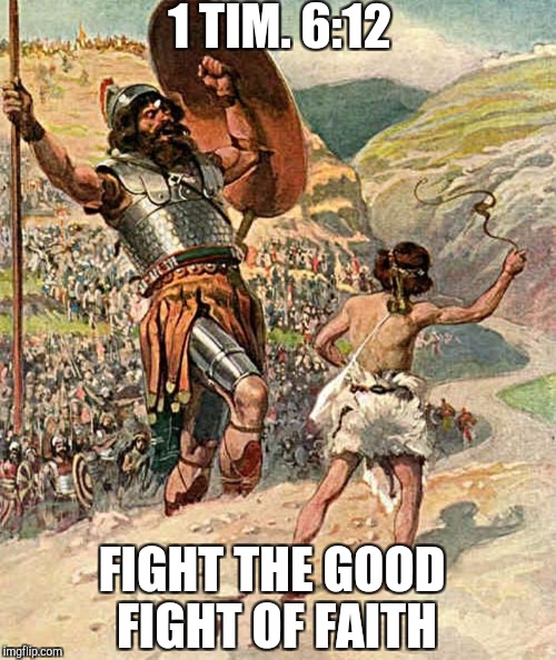 Fight | 1 TIM. 6:12; FIGHT THE GOOD FIGHT OF FAITH | image tagged in god,jesus,holyspirit,catholic,bible,christmas | made w/ Imgflip meme maker