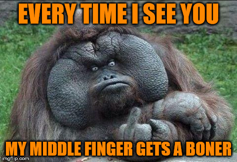 Middle Finger Monkey | EVERY TIME I SEE YOU; MY MIDDLE FINGER GETS A BONER | image tagged in middle finger monkey,memes,what if i told you | made w/ Imgflip meme maker