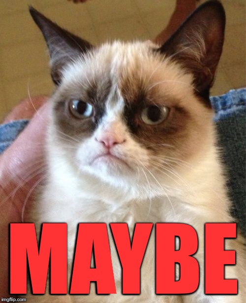 Grumpy Cat Meme | MAYBE | image tagged in memes,grumpy cat | made w/ Imgflip meme maker