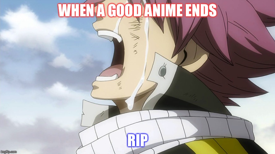 WHEN A GOOD ANIME ENDS; RIP | image tagged in anime,show,fairy tail,good anime,ending | made w/ Imgflip meme maker