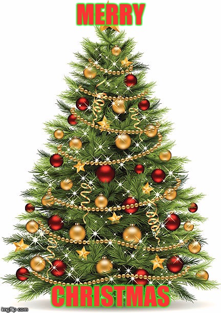 Christmas Tree | MERRY; CHRISTMAS | image tagged in christmas tree | made w/ Imgflip meme maker