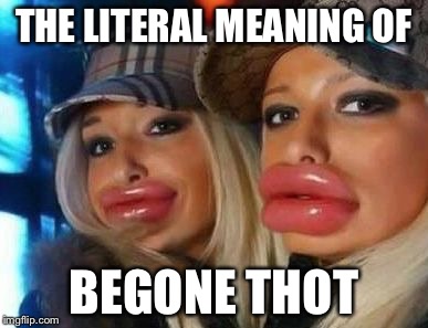 Duck Face Chicks | THE LITERAL MEANING OF; BEGONE THOT | image tagged in memes,duck face chicks | made w/ Imgflip meme maker