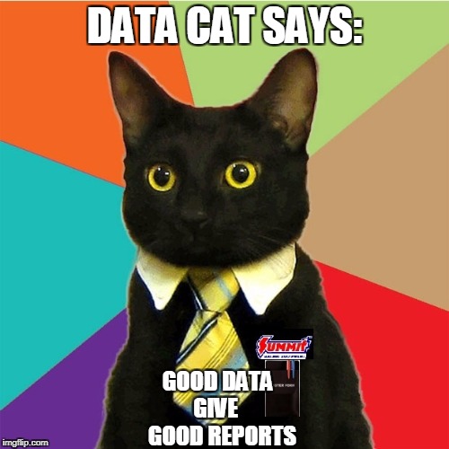 Data Cat | DATA CAT SAYS:; GOOD DATA  GIVE     GOOD REPORTS | image tagged in cat,data | made w/ Imgflip meme maker