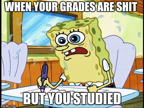 What I learned in boating school is | WHEN YOUR GRADES ARE SHIT; BUT YOU STUDIED | image tagged in what i learned in boating school is | made w/ Imgflip meme maker