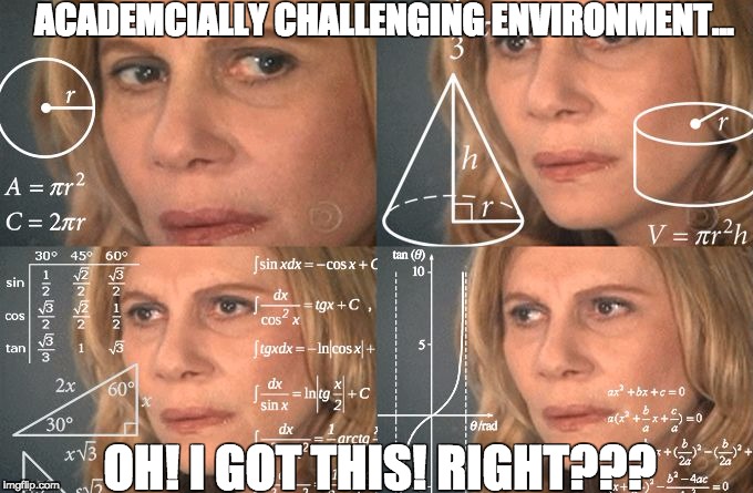 Math Lady | ACADEMCIALLY CHALLENGING ENVIRONMENT... OH! I GOT THIS!
RIGHT??? | image tagged in math lady | made w/ Imgflip meme maker