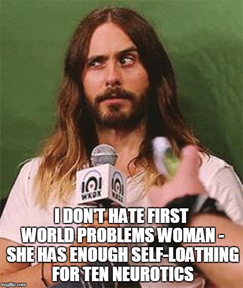 I DON'T HATE FIRST WORLD PROBLEMS WOMAN - SHE HAS ENOUGH SELF-LOATHING FOR TEN NEUROTICS | made w/ Imgflip meme maker