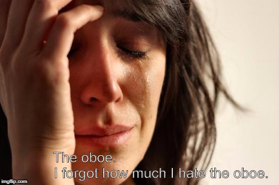 First World Problems Meme | The oboe.                                       I forgot how much I hate the oboe. | image tagged in memes,first world problems | made w/ Imgflip meme maker