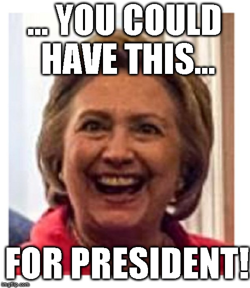 Horrilary | ... YOU COULD HAVE THIS... FOR PRESIDENT! | image tagged in fuglyllary,crooked hillary,hillary clinton fail,crying democrats | made w/ Imgflip meme maker