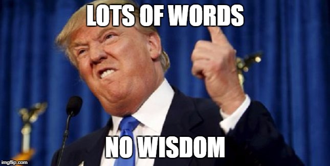 LOTS OF WORDS; NO WISDOM | made w/ Imgflip meme maker