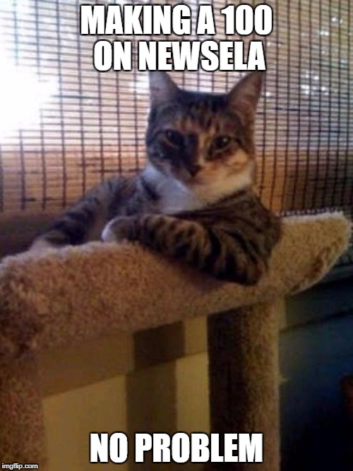 cats | MAKING A 100 ON NEWSELA; NO PROBLEM | image tagged in cats | made w/ Imgflip meme maker