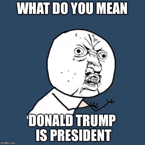 Y U No | WHAT DO YOU MEAN; DONALD TRUMP IS PRESIDENT | image tagged in memes,y u no | made w/ Imgflip meme maker