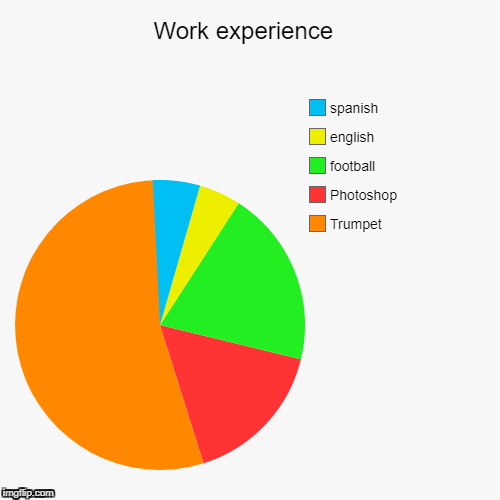 Work Experience Chart