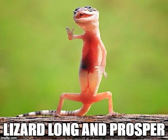 Lizard long and prosper | LIZARD LONG AND PROSPER | image tagged in lizard,llap,live long and prosper,spock | made w/ Imgflip meme maker