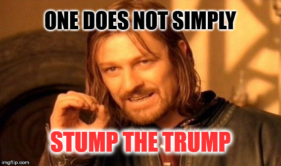 One Does Not Simply Meme | ONE DOES NOT SIMPLY; STUMP THE TRUMP | image tagged in memes,one does not simply | made w/ Imgflip meme maker
