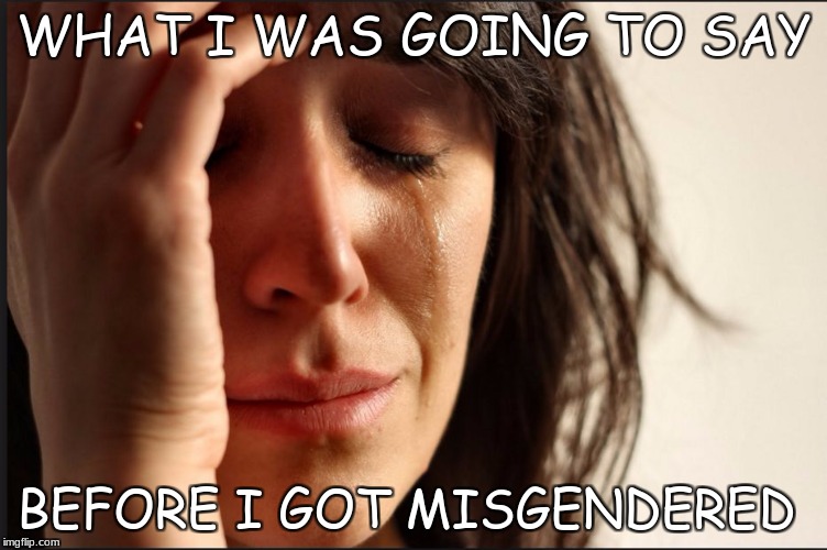 Crying women | WHAT I WAS GOING TO SAY; BEFORE I GOT MISGENDERED | image tagged in crying women | made w/ Imgflip meme maker