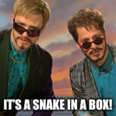 IT’S A SNAKE IN A BOX! | image tagged in dickinabox | made w/ Imgflip meme maker