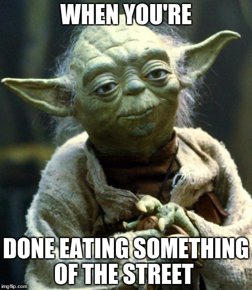 Star Wars Yoda | WHEN YOU'RE; DONE EATING SOMETHING OF THE STREET | image tagged in memes,star wars yoda | made w/ Imgflip meme maker
