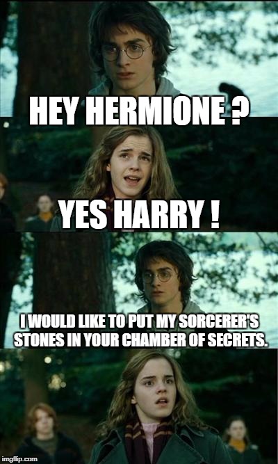 Horny Harry Meme | HEY HERMIONE ? YES HARRY ! I WOULD LIKE TO PUT MY SORCERER'S STONES IN YOUR CHAMBER OF SECRETS. | image tagged in memes,horny harry | made w/ Imgflip meme maker