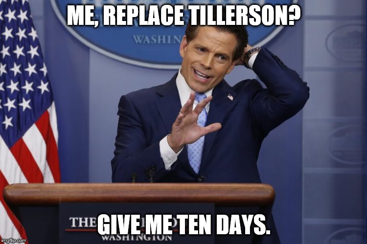 Scaramucci | ME, REPLACE TILLERSON? GIVE ME TEN DAYS. | image tagged in scaramucci | made w/ Imgflip meme maker