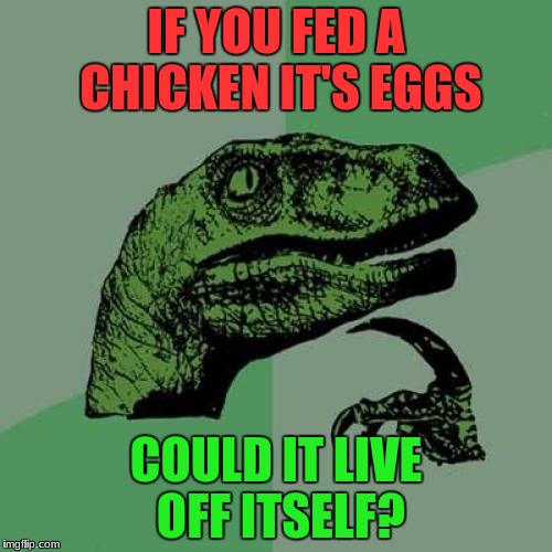 This one's been bugging me for awhile! | IF YOU FED A CHICKEN IT'S EGGS; COULD IT LIVE OFF ITSELF? | image tagged in memes,philosoraptor | made w/ Imgflip meme maker
