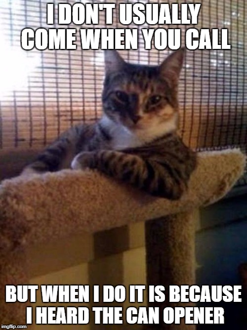 The Most Interesting Cat In The World Meme | I DON'T USUALLY COME WHEN YOU CALL; BUT WHEN I DO IT IS BECAUSE I HEARD THE CAN OPENER | image tagged in memes,the most interesting cat in the world | made w/ Imgflip meme maker