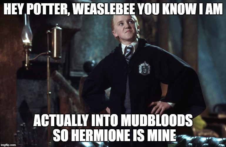 Harry Potter Draco | HEY POTTER, WEASLEBEE YOU KNOW I AM; ACTUALLY INTO MUDBLOODS SO HERMIONE IS MINE | image tagged in harry potter draco | made w/ Imgflip meme maker