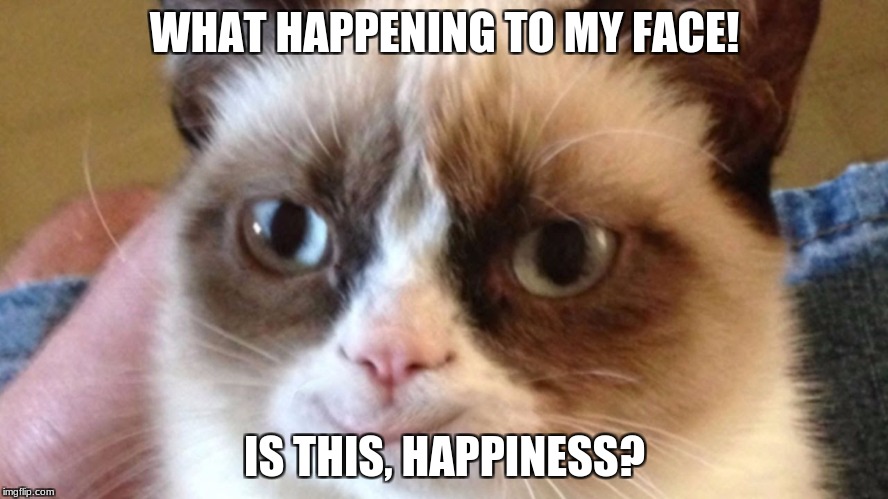 WHAT HAPPENING TO MY FACE! IS THIS, HAPPINESS? | image tagged in meme | made w/ Imgflip meme maker