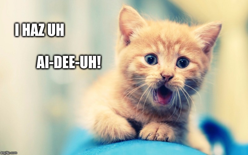 surprised cat | I HAZ UH; AI-DEE-UH! | image tagged in surprised cat | made w/ Imgflip meme maker