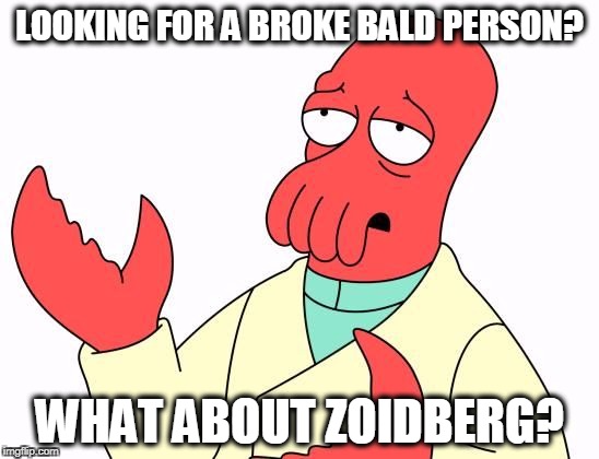 LOOKING FOR A BROKE BALD PERSON? WHAT ABOUT ZOIDBERG? | image tagged in zoid | made w/ Imgflip meme maker