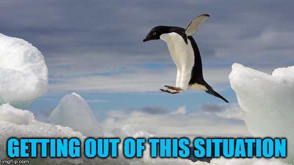 Jumping Penguin | GETTING OUT OF THIS SITUATION | image tagged in jumping penguin | made w/ Imgflip meme maker