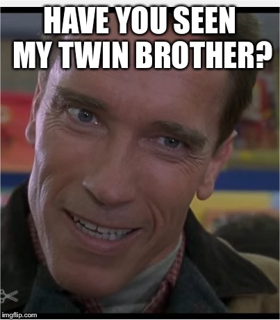 His name is Vincent | HAVE YOU SEEN MY TWIN BROTHER? | image tagged in arnie,twins,ill be back,meme | made w/ Imgflip meme maker