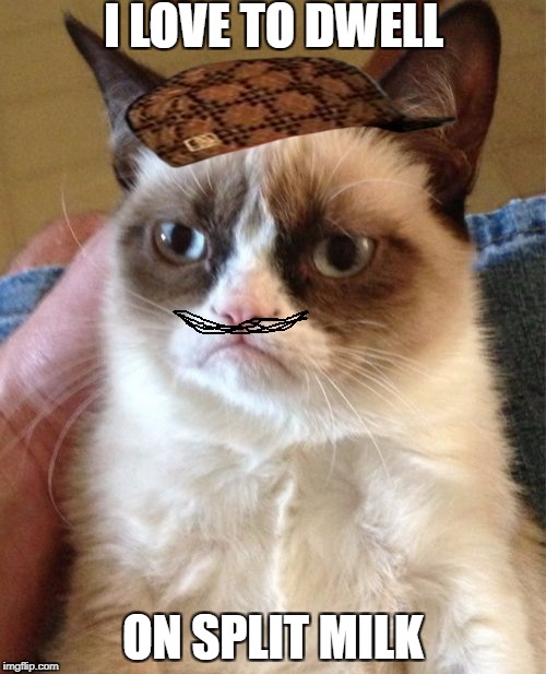 Grumpy Cat Meme | I LOVE TO DWELL; ON SPLIT MILK | image tagged in memes,grumpy cat,scumbag | made w/ Imgflip meme maker