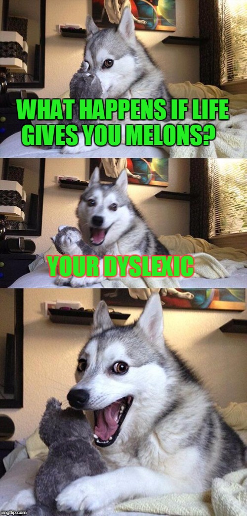 Bad Pun Dog Meme | WHAT HAPPENS IF LIFE GIVES YOU MELONS? YOUR DYSLEXIC | image tagged in memes,bad pun dog | made w/ Imgflip meme maker