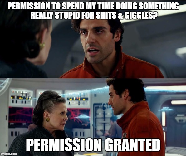 Poe Dameron blow things up | PERMISSION TO SPEND MY TIME DOING SOMETHING REALLY STUPID FOR SHITS & GIGGLES? PERMISSION GRANTED | image tagged in poe dameron blow things up | made w/ Imgflip meme maker