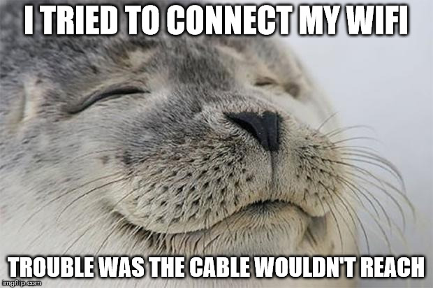 Satisfied Seal | I TRIED TO CONNECT MY WIFI; TROUBLE WAS THE CABLE WOULDN'T REACH | image tagged in memes,satisfied seal | made w/ Imgflip meme maker