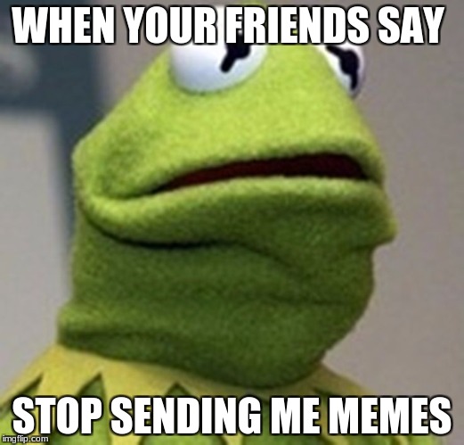 WHEN YOUR FRIENDS SAY; STOP SENDING ME MEMES | image tagged in memes | made w/ Imgflip meme maker