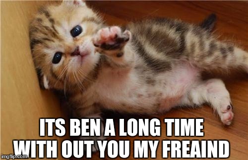 Help Me Kitten | ITS BEN A LONG TIME WITH OUT YOU MY FREAIND | image tagged in help me kitten | made w/ Imgflip meme maker