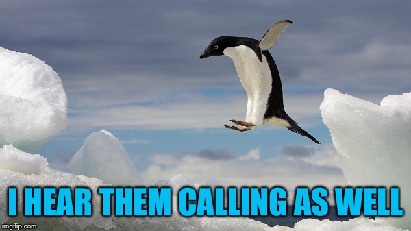 Jumping Penguin | I HEAR THEM CALLING AS WELL | image tagged in jumping penguin | made w/ Imgflip meme maker