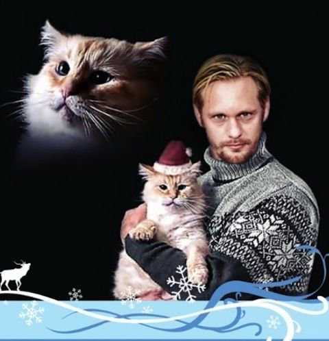 Holiday Cat Santa Claws Blank Meme Template